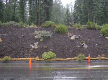 Pine needle wattles in use on Hwy 267