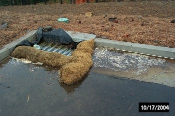 Storm drain protection